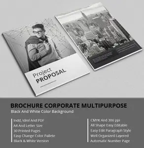 CreativeMarket - Black And White Proposal Project
