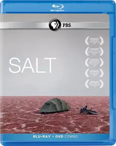 Salt (2009)