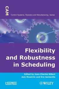 Flexibility and Robustness in Scheduling (Control Systems, Robotics and Manufacturing)