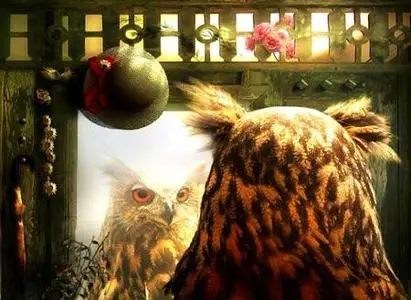 Creative Wallpaper Frank Melech