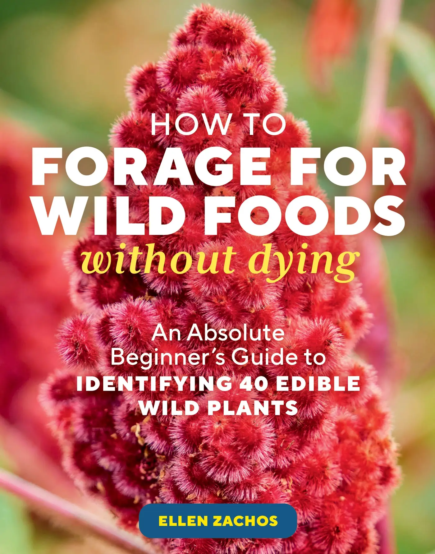 How to Forage for Wild Foods without Dying: An Absolute Beginner's ...