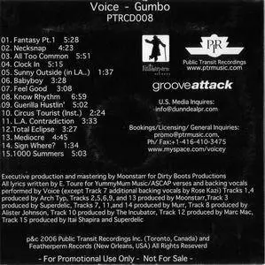 Voice - Gumbo (2006) {Public Transit Recordings/Featherperm} **[RE-UP]**