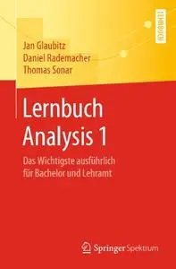 Lernbuch Analysis 1: Das Wichtigste ausführlich für Bachelor und Lehramt