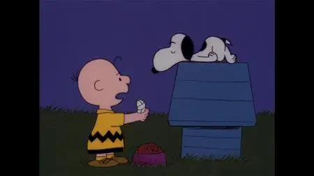 Snoopy, Come Home (1972)