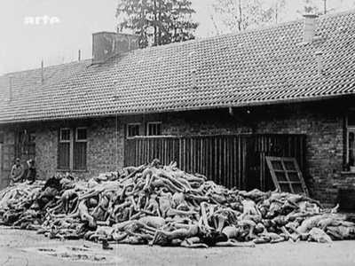 (Arte) Nuremberg, le procès des Nazis (2011)