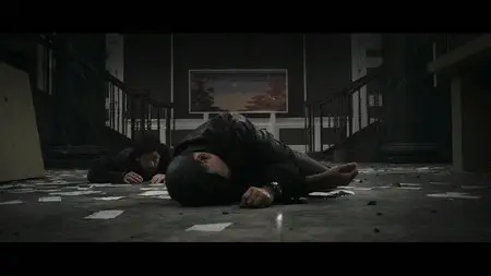 Flypaper (2011)