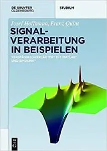 Signalverarbeitung in Beispielen: Verständlich Erläutert Mit Matlab Und Simulink (De Gruyter Studium) (German Edition)