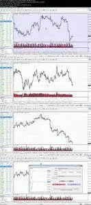 Forex Trading: Comprehensive & Concise Forex Trading Course (Updated)