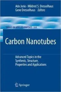 Carbon Nanotubes: Advanced Topics in the Synthesis, Structure, Properties and Applications [repost]