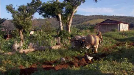 PBS Nature - Cuba: The Accidental Eden (2010)