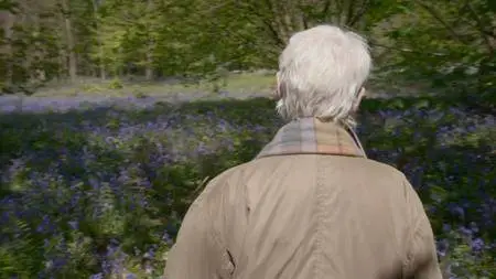 BBC - Judi Dench: My Passion for Trees (2017)