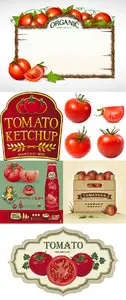 Tomato & Ketchup