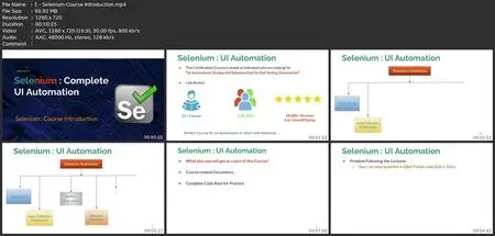 Master Selenium Webdriver With Java: Advance Test Automation