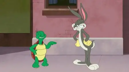 Looney Tunes Cartoons S01E62