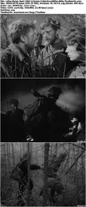 Letter Never Sent (1960) Criterion Collection