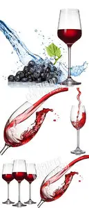 Wine 11