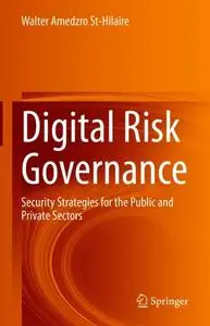 Digital Risk Governance: Security Strategies for the Public and Private Sectors