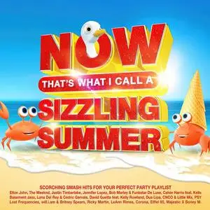 VA - Now That's What I Call A Sizzling Summer (4CD, 2023)