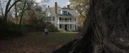 The Conjuring (2013)