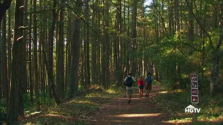 Island Life S10E12