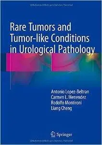 Rare Tumors and Tumor-like Conditions in Urological Pathology