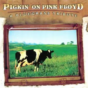V.A. - Pickin' on Pink Floyd: A Bluegrass Tribute (2001)