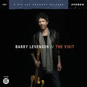Barry Levenson - The Visit (2015)