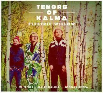 Tenors of Kalma - Electric Willow (2015)