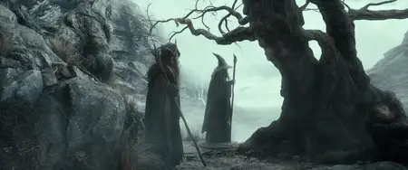 The Hobbit: The Desolation of Smaug/Le Hobbit: La désolation de Smaug (2013)