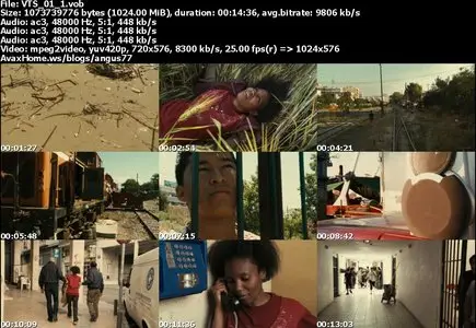 Indignados (2012)