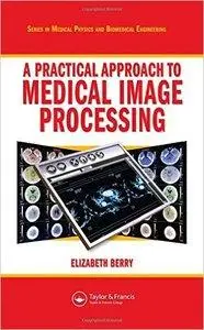 A Practical Approach to Medical Image Processing (repost)