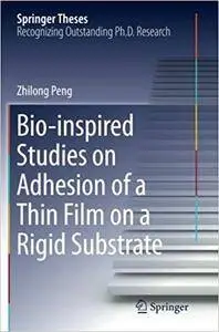 Bio-inspired Studies on Adhesion of a Thin Film on a Rigid Substrate (Repost)