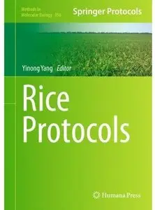 Rice Protocols