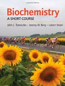 Biochemistry: A Short Course
