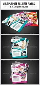 GraphicRiver Multipurpose Business Flyer 3