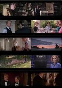 The Hippopotamus (2017)