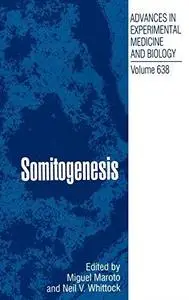 Somitogenesis