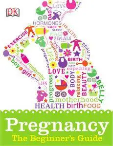 Pregnancy: The Beginner's Guide