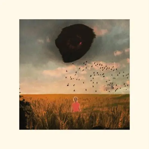 Billy Cobb - The Void (2017)