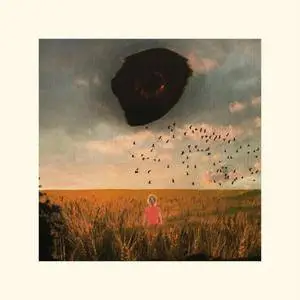 Billy Cobb - The Void (2017)