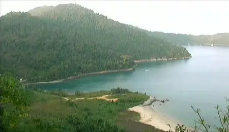 Золотой глобус. 16. Бразилия