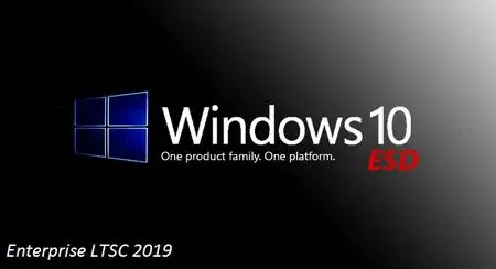 Windows 10 Enterprise LTSC 2019 10.0.17763.2114 x64 ESD en-US August 2021