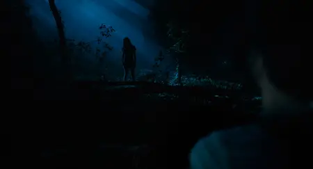 Until Dawn (2025)