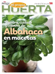La Huerta en Casa - 15 Octubre 2025