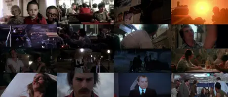 Born on the Fourth of July (1989) [MultiSubs] + Extras & Commentary
