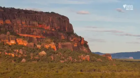 Tiger on the Rocks (2022)