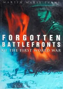 Forgotten Battlefronts of the First World War