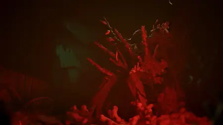Still Wakes the Deep Sirens Rest (2025)
