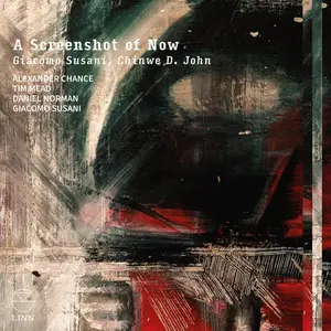 Alexander Chance - A Screenshot of Now (2026) [Official Digital Download 24/192]