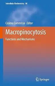 Macropinocytosis: Functions and Mechanisms